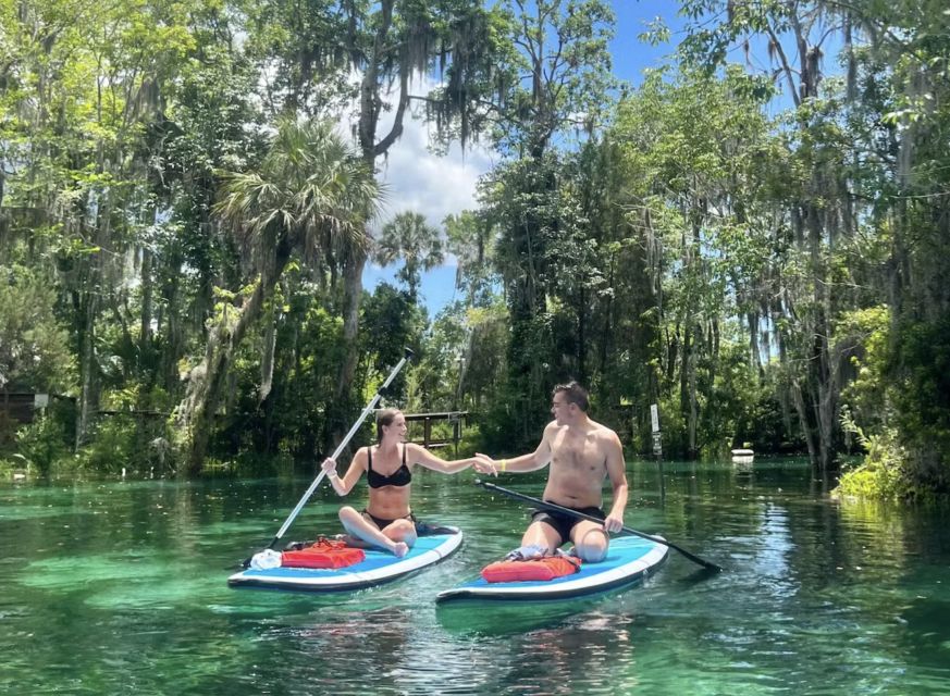 Crystal River: Paddle Board Rental - What the $36 price really covers