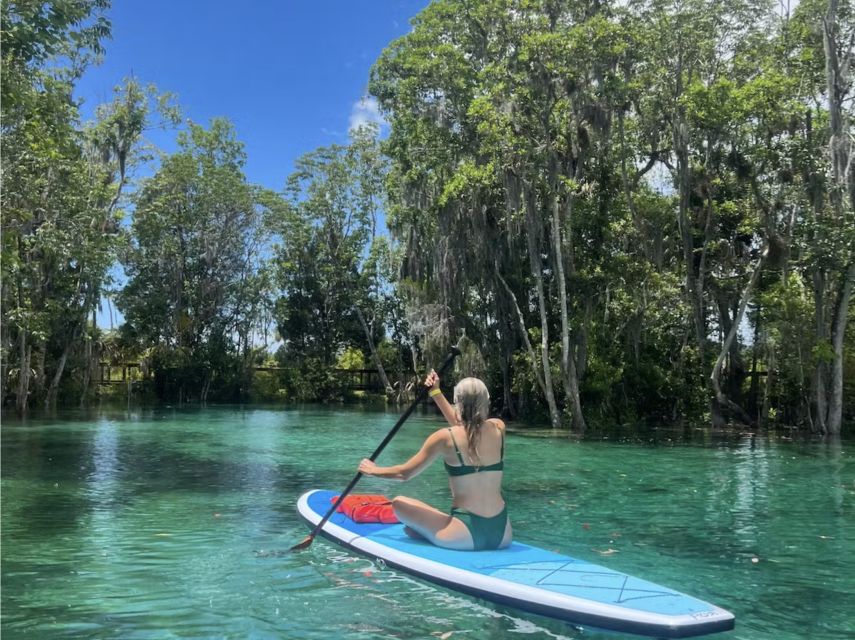 Crystal River: Paddle Board Rental - Who will enjoy this rental most?