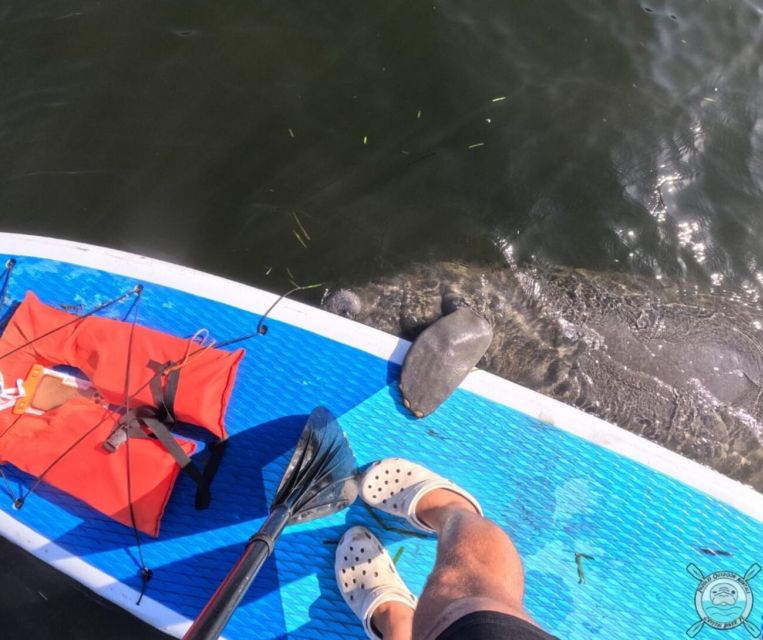 Crystal River: Paddle Board Rental - Getting to the launch dock