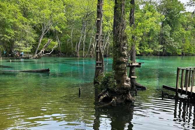 Cypress Springs Paddle Board & Kayak Eco Tour - From Vernon to the spring