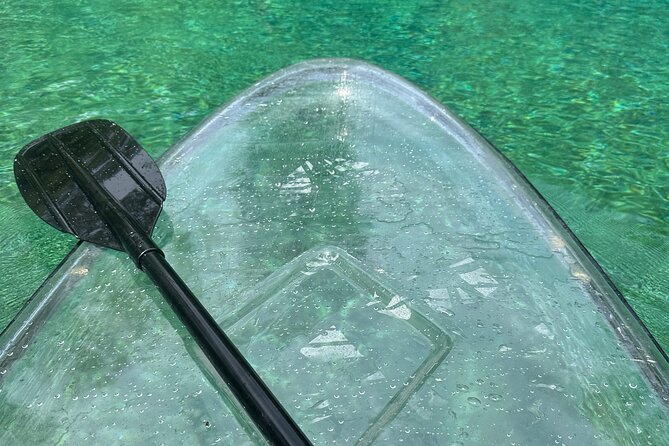 Cypress Springs Paddle Board & Kayak Eco Tour - Swimming and snorkeling at the cold spring