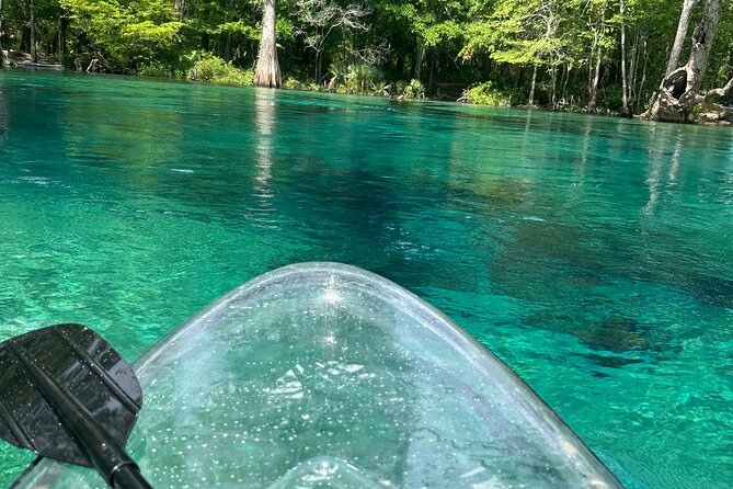 Cypress Springs Paddle Board & Kayak Eco Tour - Floating back to the dock