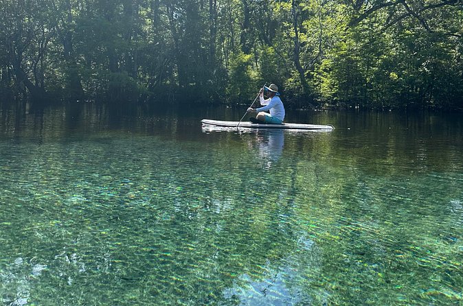 Cypress Springs Paddle Board & Kayak Eco Tour - What the $80 price covers