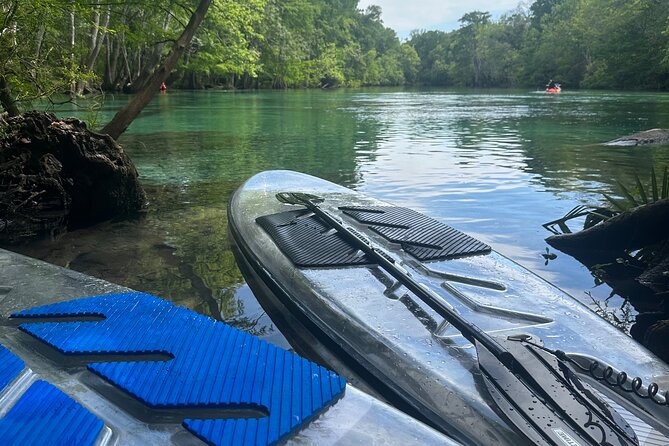 Cypress Springs Paddle Board & Kayak Eco Tour - Weather, booking, and practical limits