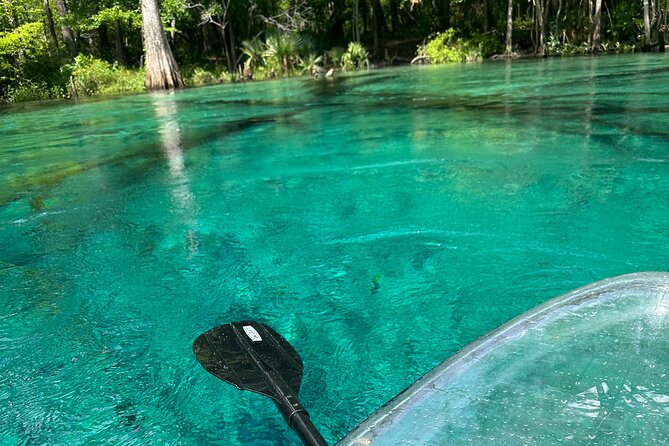 Cypress Springs Paddle Board & Kayak Eco Tour - Learning the clear boards and safety gear