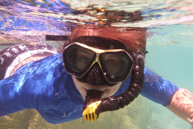 Day Cruise & Island Tour - Snorkel/Wildlife/Paddleboard/Islands - Why this 3.5-hour cruise works so well