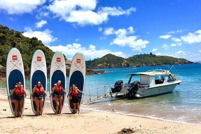 Day Cruise & Island Tour - Snorkel/Wildlife/Paddleboard/Islands - Wildlife spotting without false promises
