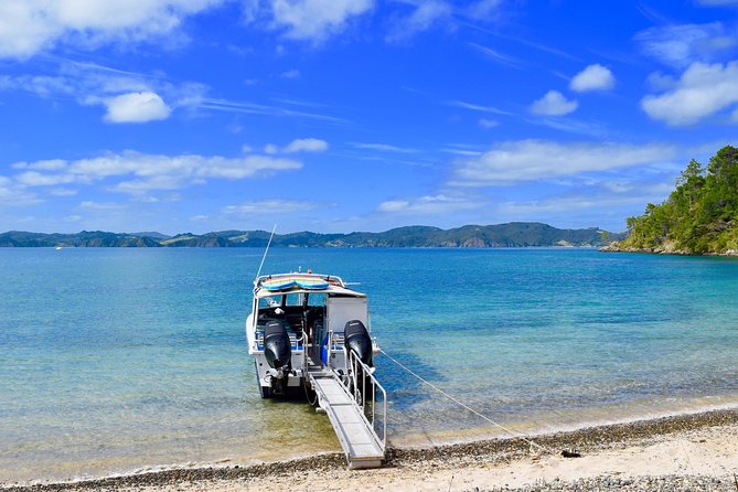 Day Cruise & Island Tour - Snorkel/Wildlife/Paddleboard/Islands - Starting at Pier 10 in Paihia