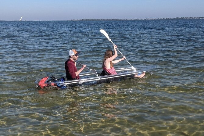 Dolphin and Manatee Clear Kayak or Paddleboard Tour - Meeting at Kiwanis Island Park