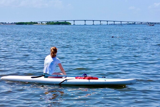 Dolphin and Manatee Clear Kayak or Paddleboard Tour - The guide can make or break a wildlife tour