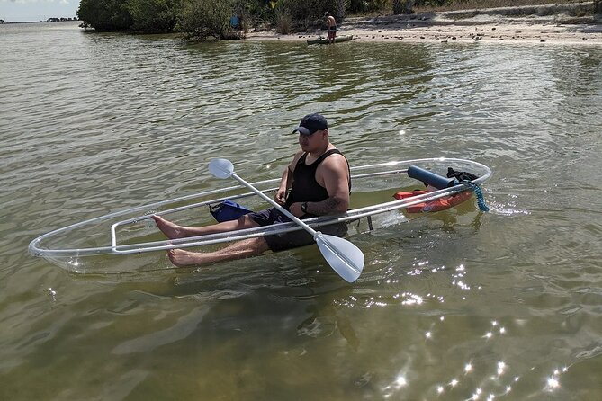 Dolphin and Manatee Clear Kayak or Paddleboard Tour - What the $75 price includes