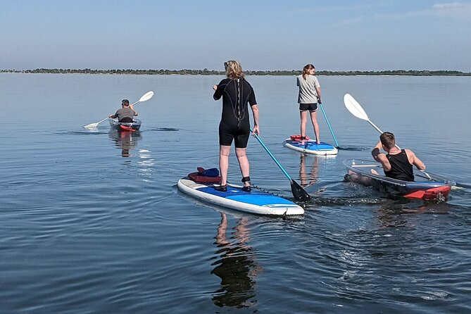 Dolphin and Manatee Clear Kayak or Paddleboard Tour - Who will enjoy this most