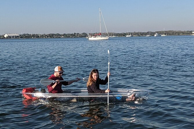 Dolphin and Manatee Clear Kayak or Paddleboard Tour - The two-hour route and what happens along the way