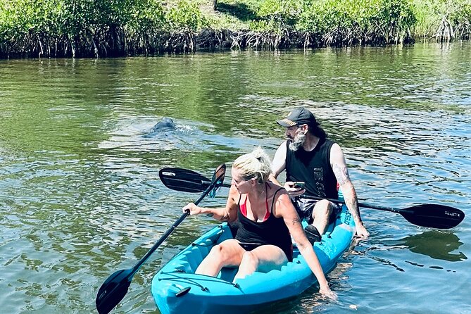Dolphin and Manatee Kayak and SUP Adventure Tour of Cocoa Beach - Price, group size, and the two-hour schedule