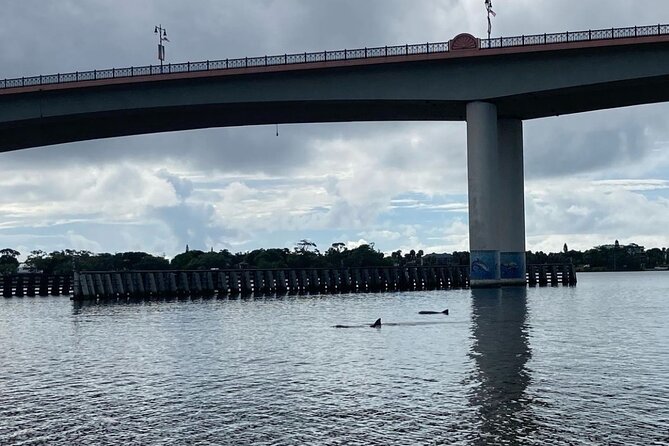 Dolphin and Manatee Stand Up Paddleboard Tour in Daytona Beach - The first lesson takes place on land