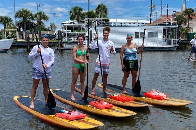 Dolphin and Manatee Stand Up Paddleboard Tour in Daytona Beach - Searching the canals for manatees and dolphins