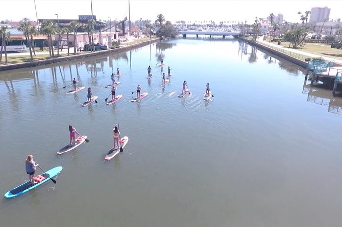 Dolphin and Manatee Stand Up Paddleboard Tour in Daytona Beach - Why the 8:30 a.m. departure makes sense