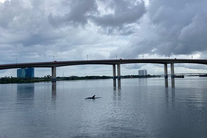 Dolphin and Manatee Stand Up Paddleboard Tour in Daytona Beach - How hard is the paddling?