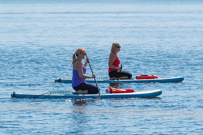 Dolphin and Manatee Stand Up Paddleboard Tour in Daytona Beach - Circling the island and passing seven bridges