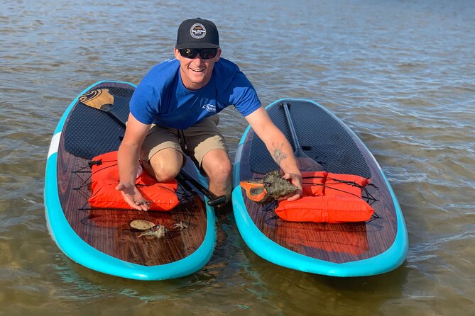 Dolphin and Manatee Tour of Marco Island by Kayak or SUP - Key points to know before you book