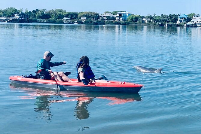 Dolphin, Manatee and SeaTurtle SUP Adventure Tour of St Augustine - Key points to know before you book