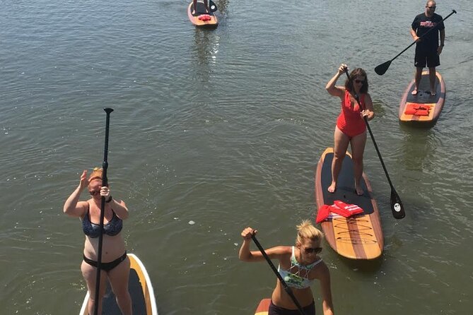 Dolphin, Manatee and SeaTurtle SUP Adventure Tour of St Augustine - Group size, timing, and value at $65