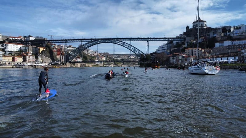 Douro River Kayak or Standup Paddleboard Tour - Starting at Marina do Freixo