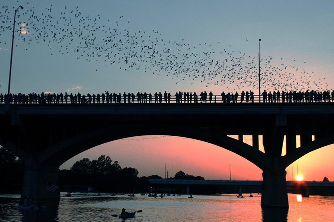Downtown Austin Giant Paddleboard Sunset Tour with Bats - Key points to know before you book
