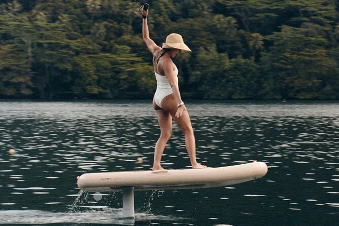 E-Foil Surfing for Beginners in Fort Lauderdale Beach - What makes the instruction important