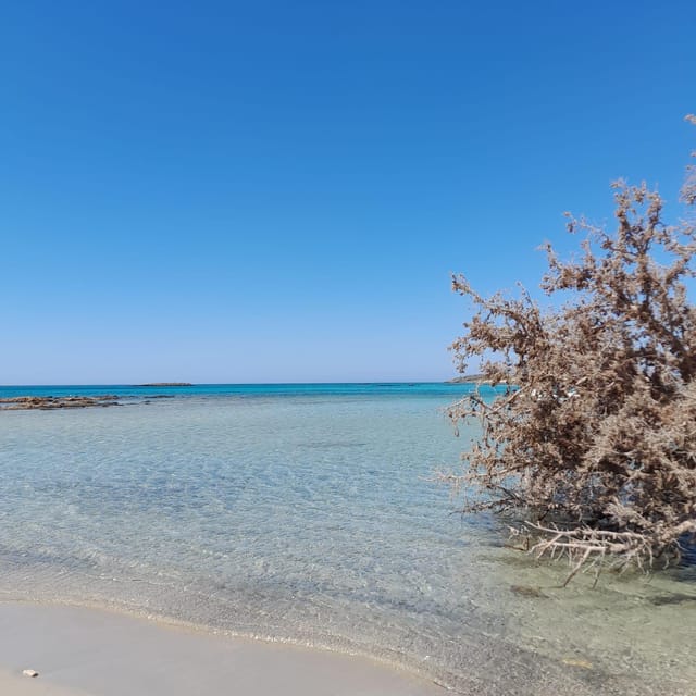 Elafonissi: Private Beach Day Trip with SUP - Drivers who shape the day