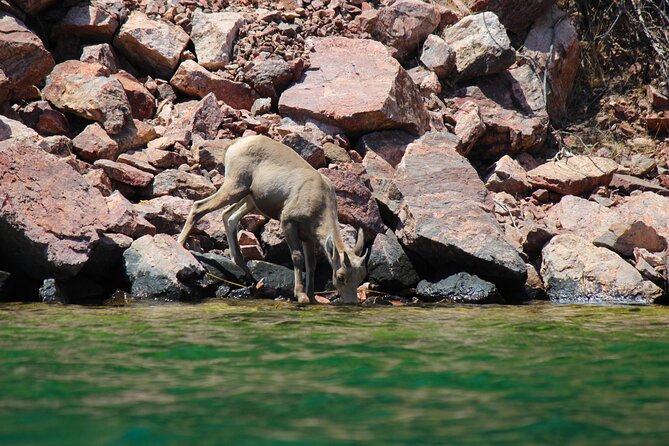 Emerald Cave Scenic Escape Guided Tour —Self-Drive Colorado River - Practical booking details that matter