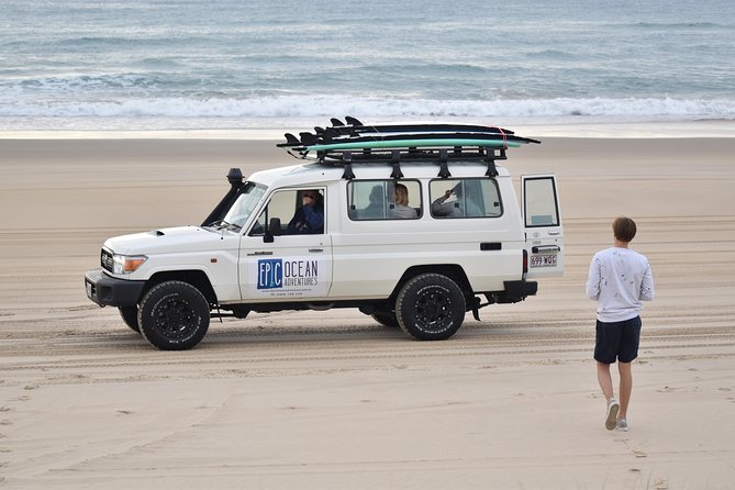 Epic Surf Safari Beach 4WD Day Tour -Noosa to Double Island Point - Wildlife, beach time, and the pace of the outing