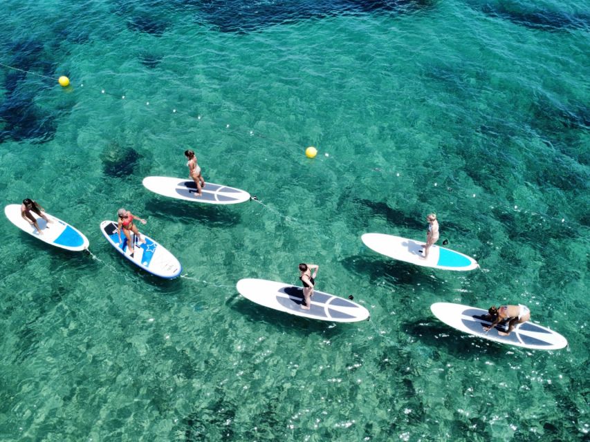 Es Figueral: Standup Paddleboarding Adventure - The views toward Tagomago and the pine-lined shore