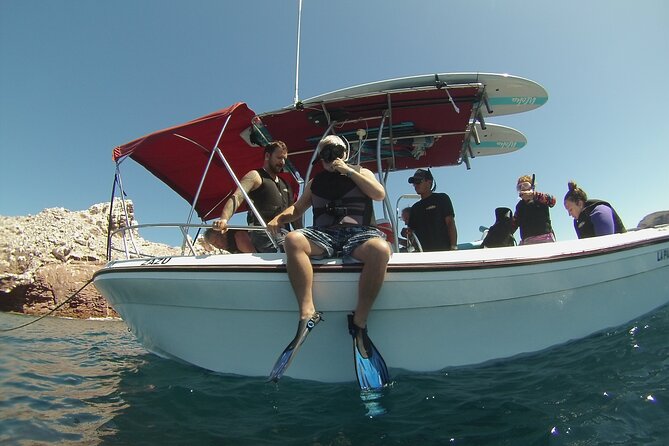 Espiritu Santo Island Combo: Sea Lions and Paddleboard 1 to 6 Private Group - Swimming with the sea-lion colony