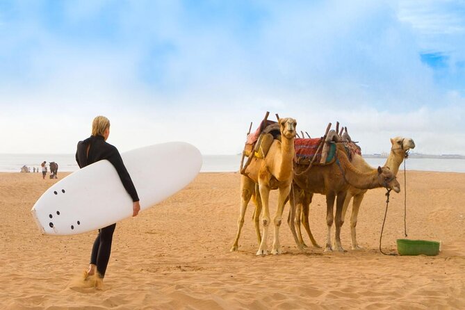 Essaouira Day Trip From Marrakech Including Surf Training - Key points at a glance