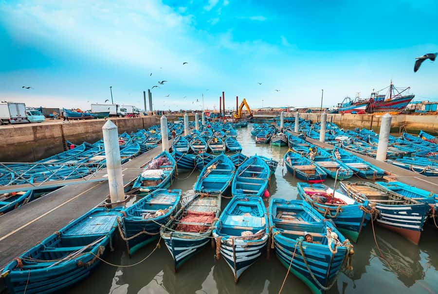 Essaouira: Surf Trip from Marrakech - Why Essaouira makes a fine break from Marrakech