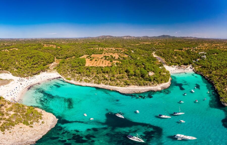 Experinence in Mondrago /S'amarador / Trencada Snorkel y SUP - Why Mondragó makes a good beach day