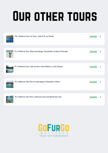 Experinence in Mondrago /S'amarador / Trencada Snorkel y SUP - The guide style and group feel