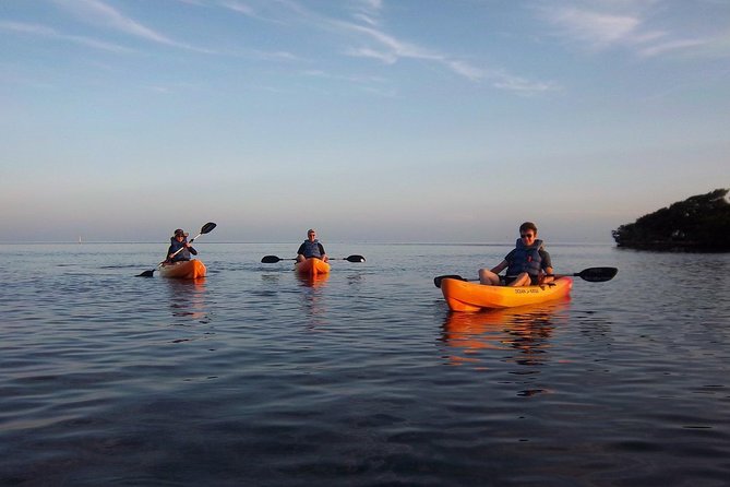 Explore Mangrove Creeks with an All Day SUP/single kayak Rental - A flexible start at 90773 Old Highway