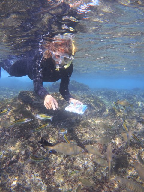 Flamingo Beach: Guided SUP and Snorkeling experience - Snorkeling With Fish Names and Useful Guidance