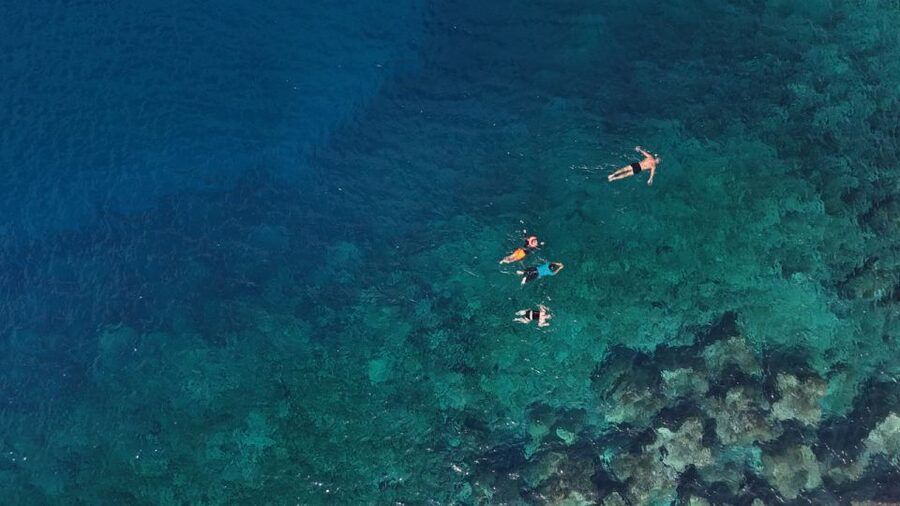 Flamingo Beach: Guided SUP and Snorkeling experience - Group Size, Timing, and the Role of Weather