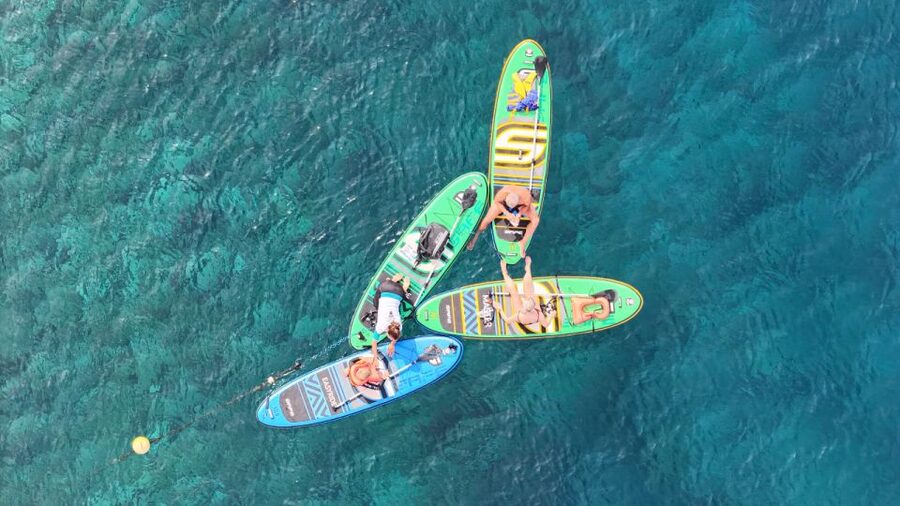 Flamingo Beach: Guided SUP and Snorkeling experience - What the $69 Price Really Covers