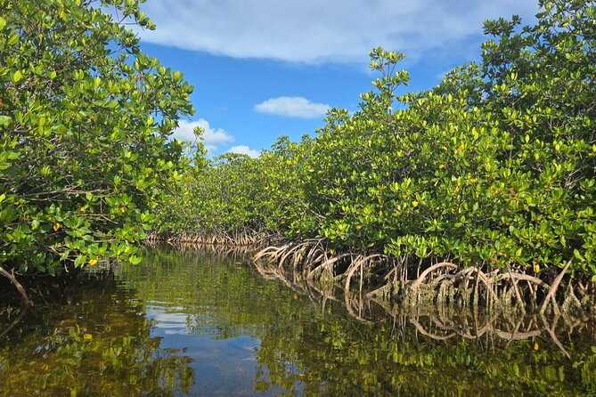 Florida Keys Kayak And Paddleboard Rentals - Key points to know before you paddle