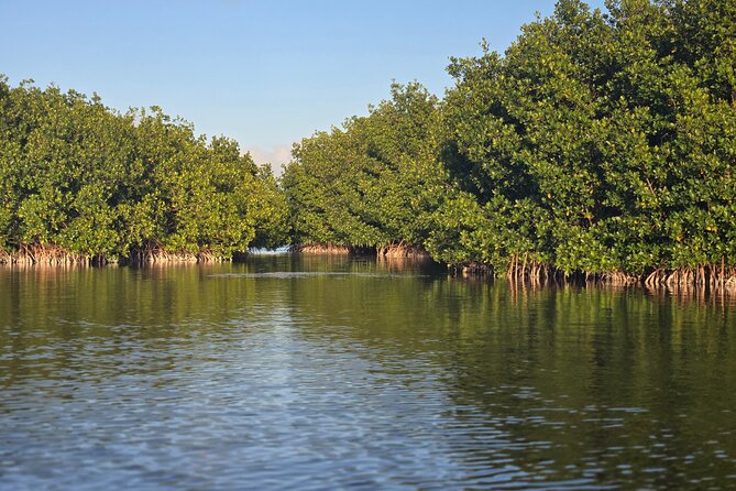 Florida Keys Kayak And Paddleboard Rentals - Why Geiger Key feels different from central Key West