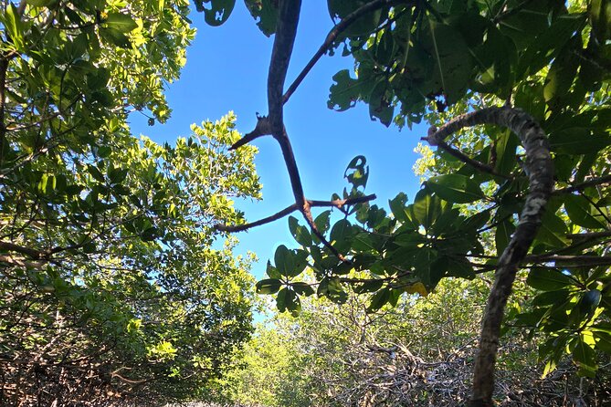 Florida Keys Kayak And Paddleboard Rentals - Is $30 a fair price for two hours?