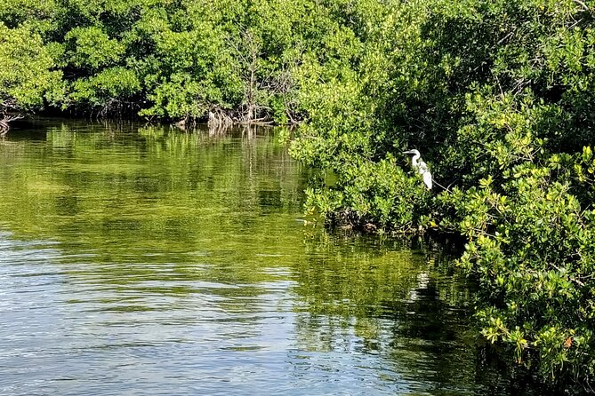 Florida Keys Kayak And Paddleboard Rentals - Who should book this paddle?