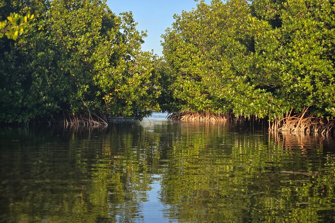 Florida Keys Kayak And Paddleboard Rentals - Timing, weather, and what to bring