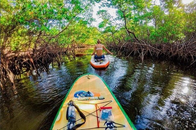 Fort Lauderdale Bonnet House Ground and Guided Paddle Board Kayak - A rare view of Bonnet House from the water