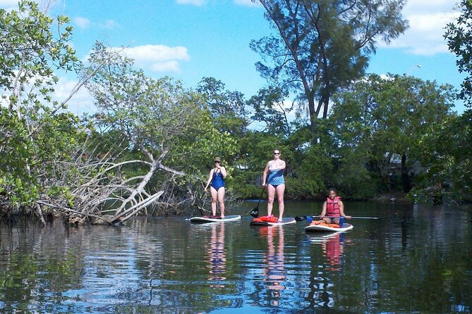 Fort Lauderdale Bonnet House Ground and Guided Paddle Board Kayak - Mangrove roots, birds, crabs, and fish