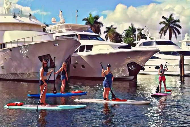 Fort Lauderdale Paddle Board Rentals. - How the price compares with the experience